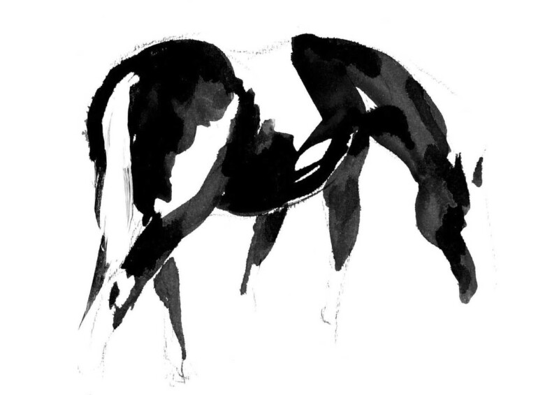 Image of Whisper of a Graze by Diana Hand